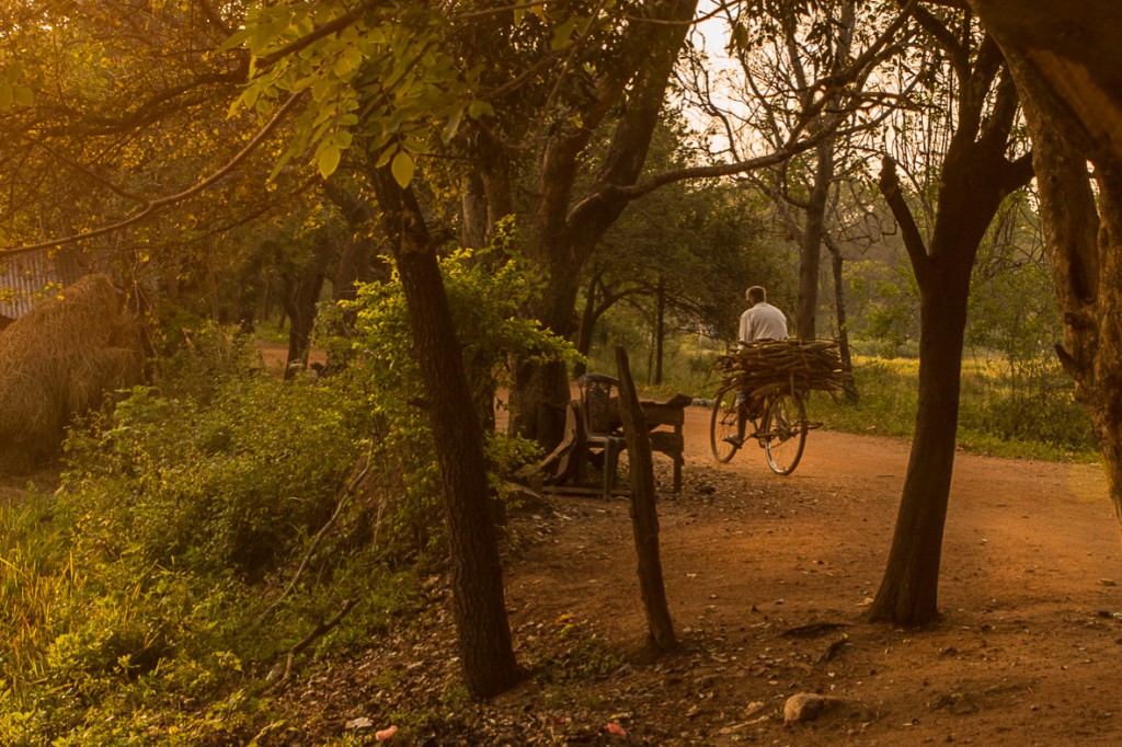 srilanka_16