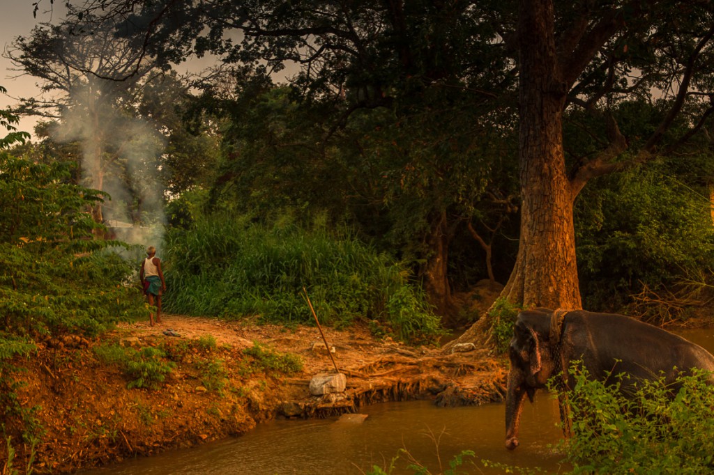 srilanka_20
