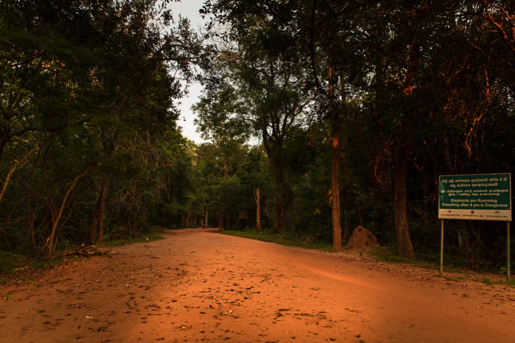 srilanka_21