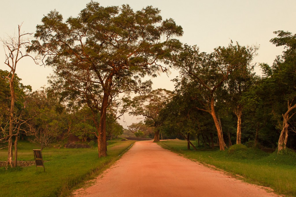 srilanka_23