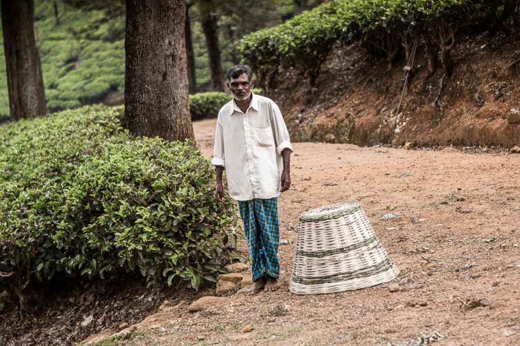 srilanka_34